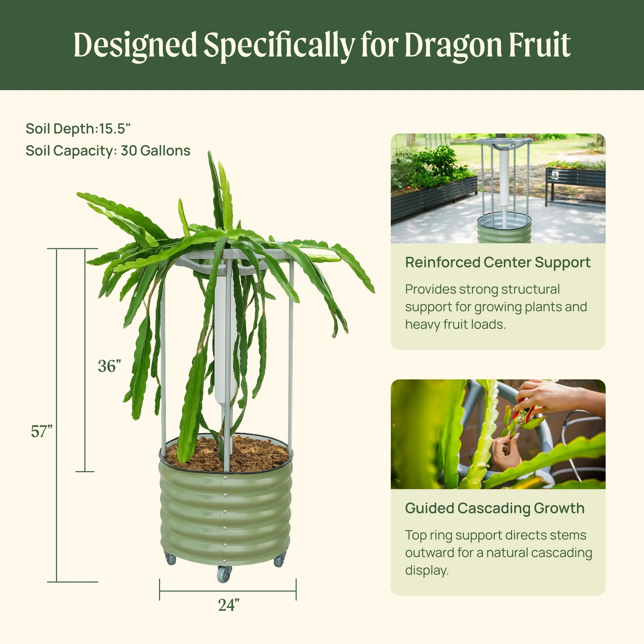 Classic Rolling Dragon Fruit Planter Gen 2 - Image 13