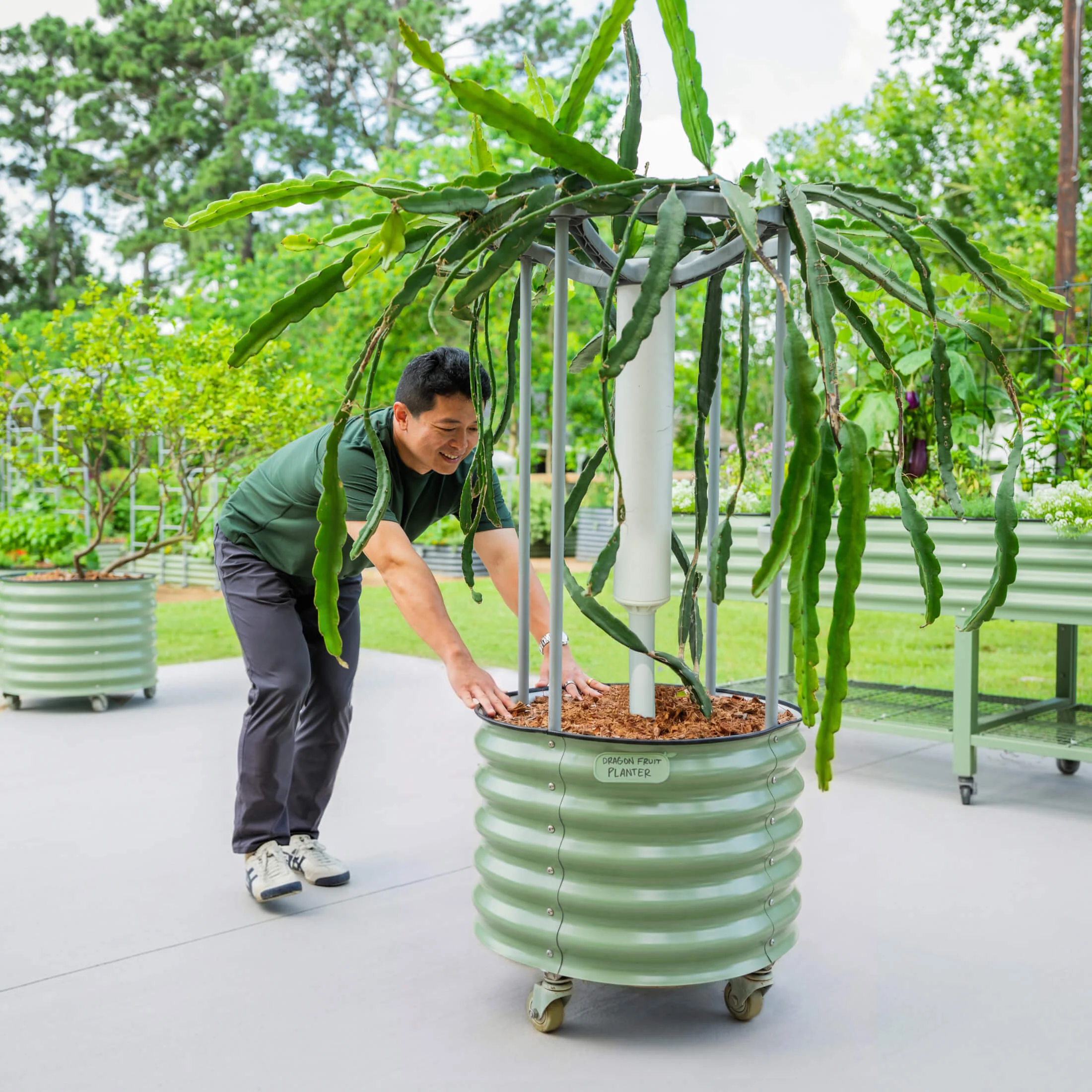 Classic Rolling Dragon Fruit Planter Gen 2 - Image 5