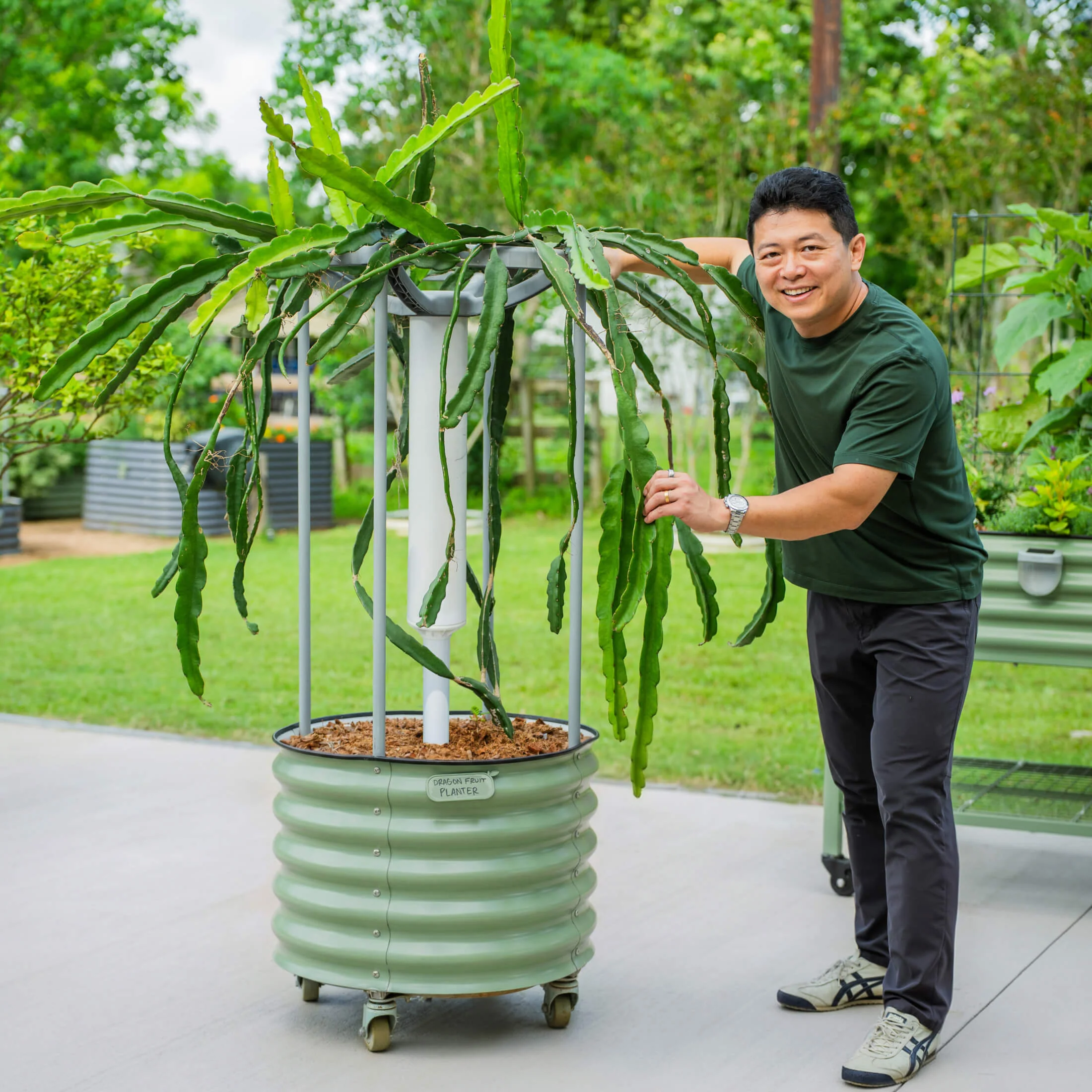 Classic Rolling Dragon Fruit Planter Gen 2 - Image 6