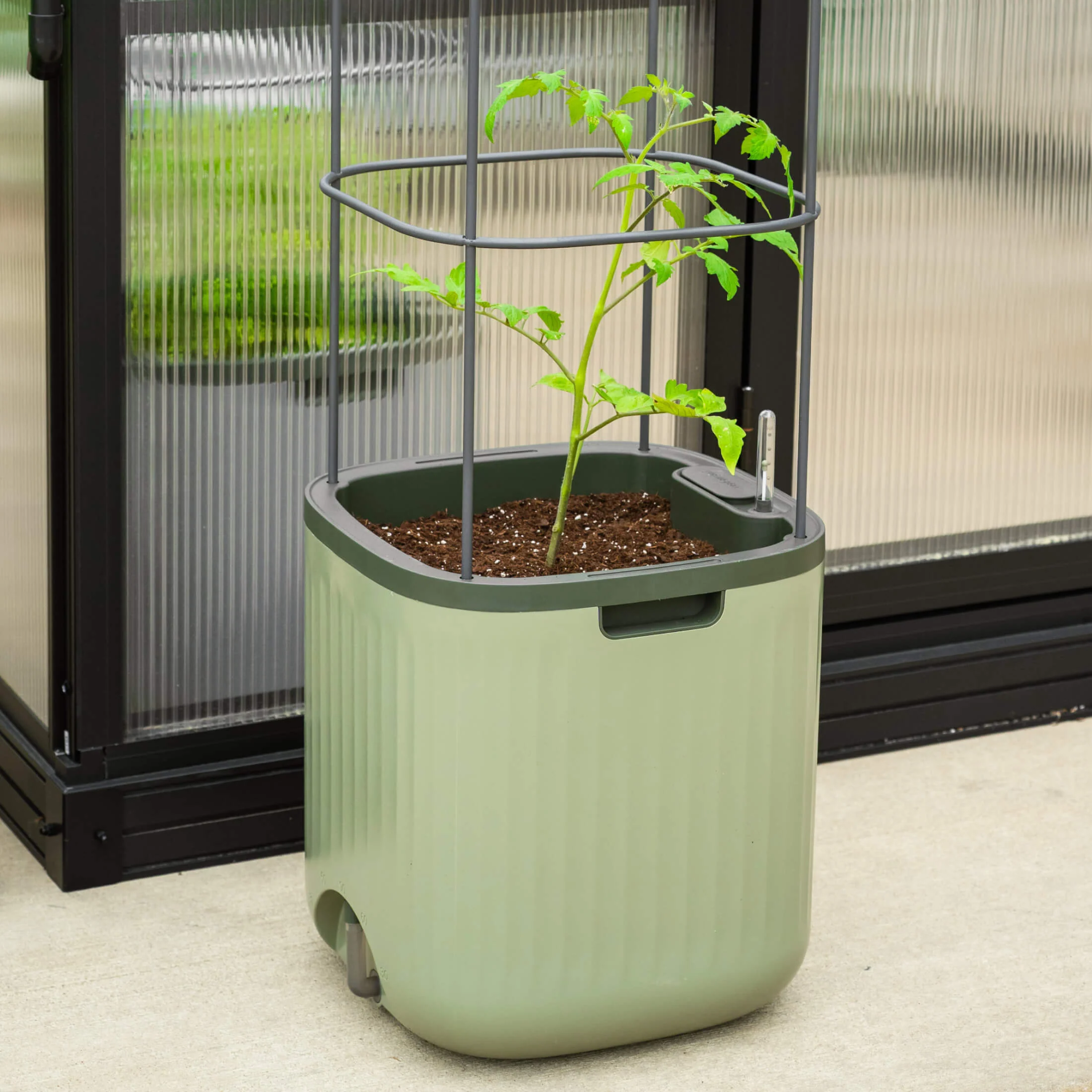EZ Self-Watering Tomato Planter with Trellis Gen 2 - Image 12