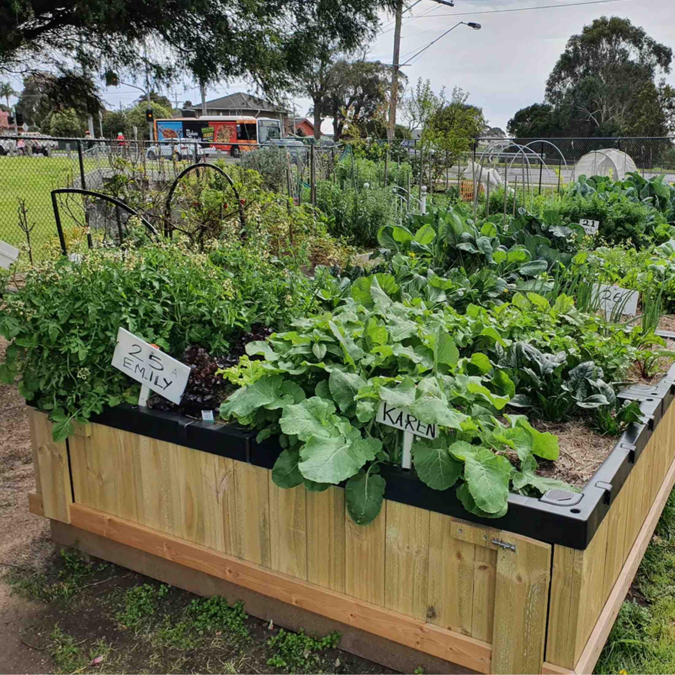Foodcube™  Slim - The Next Generation of Self Watering Raised Garden - Image 8
