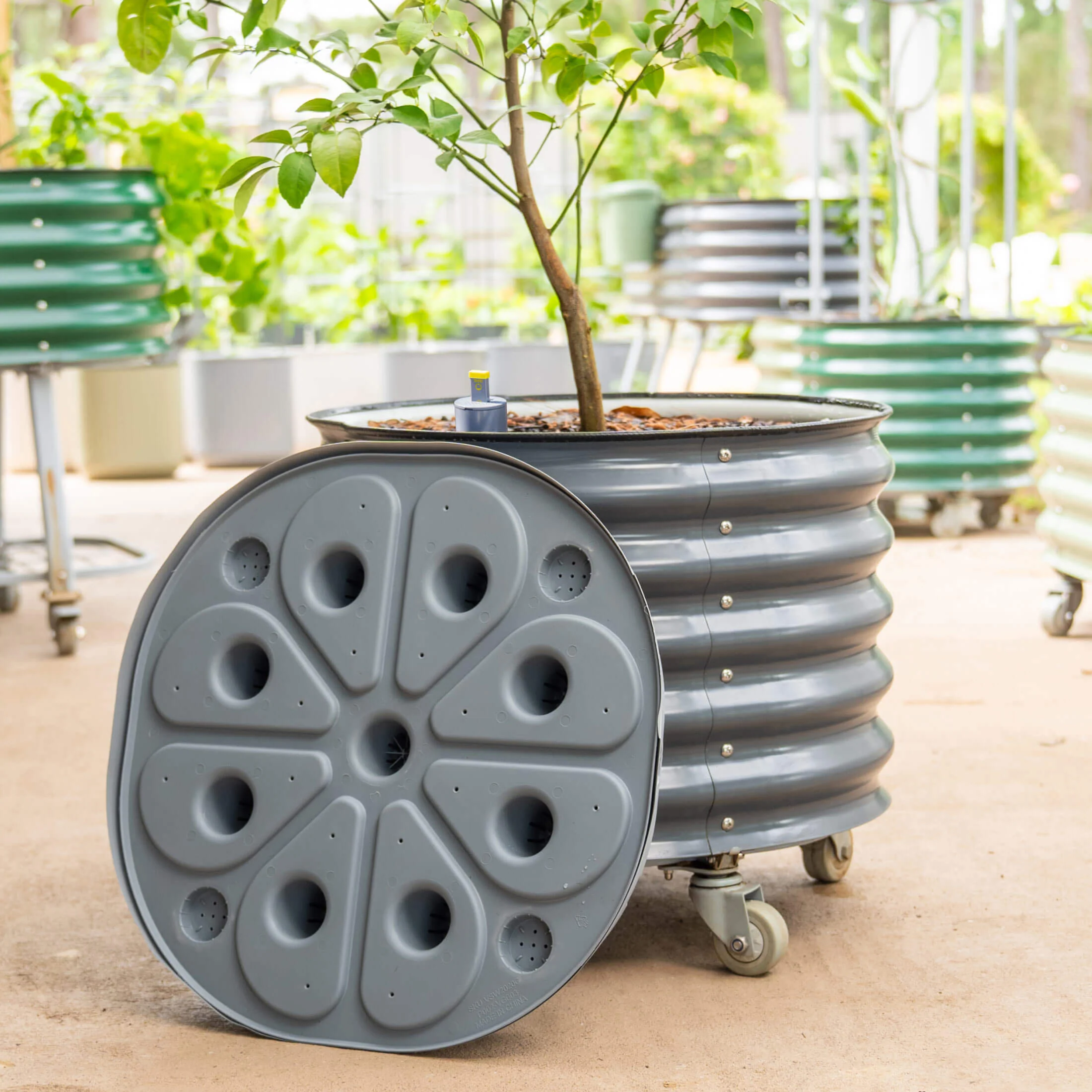 Self-Watering Rolling Citrus Tree Planter 30 Gallon - Gen 2 - Image 14