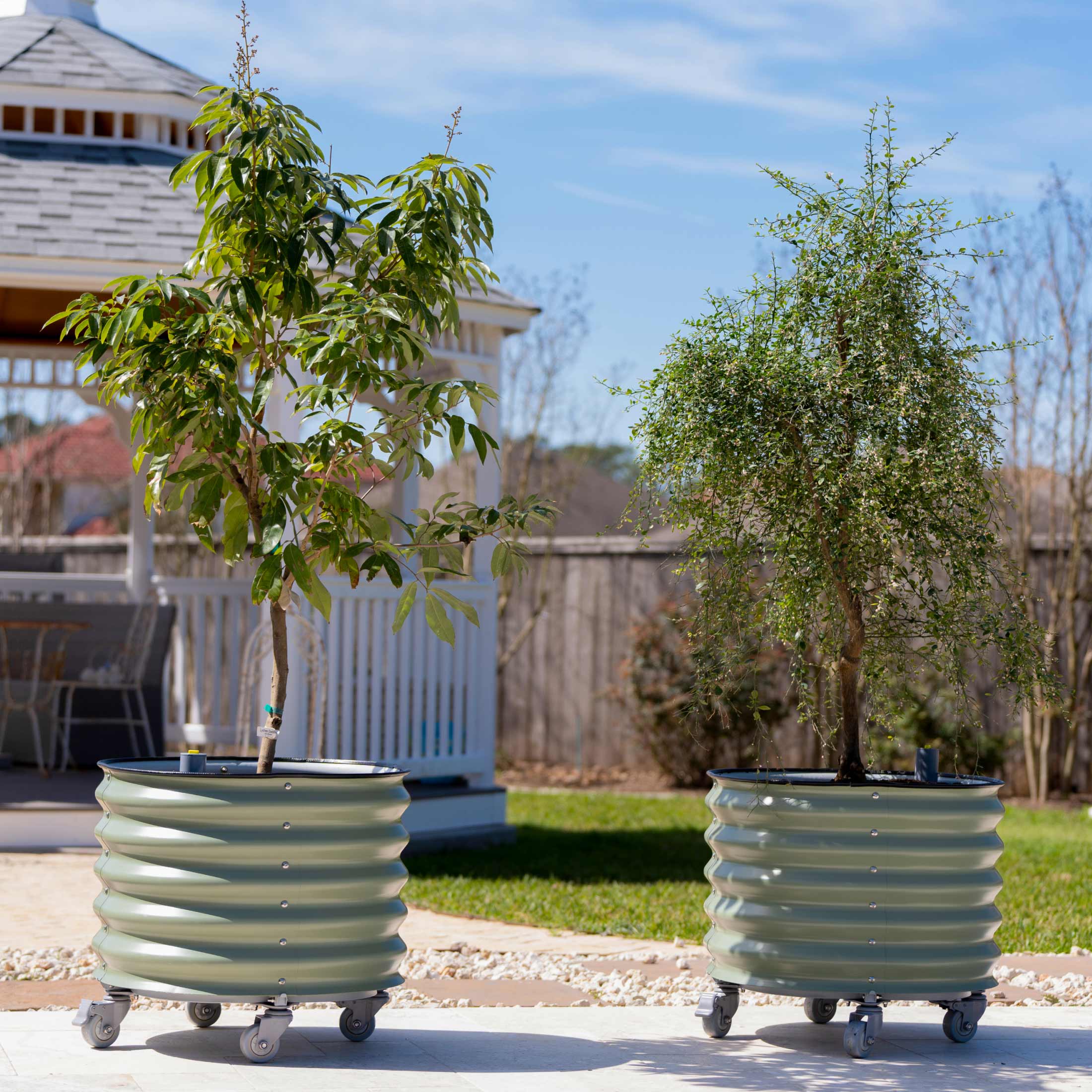 Self-Watering Rolling Citrus Tree Planter 30 Gallon - Gen 2 - Image 16