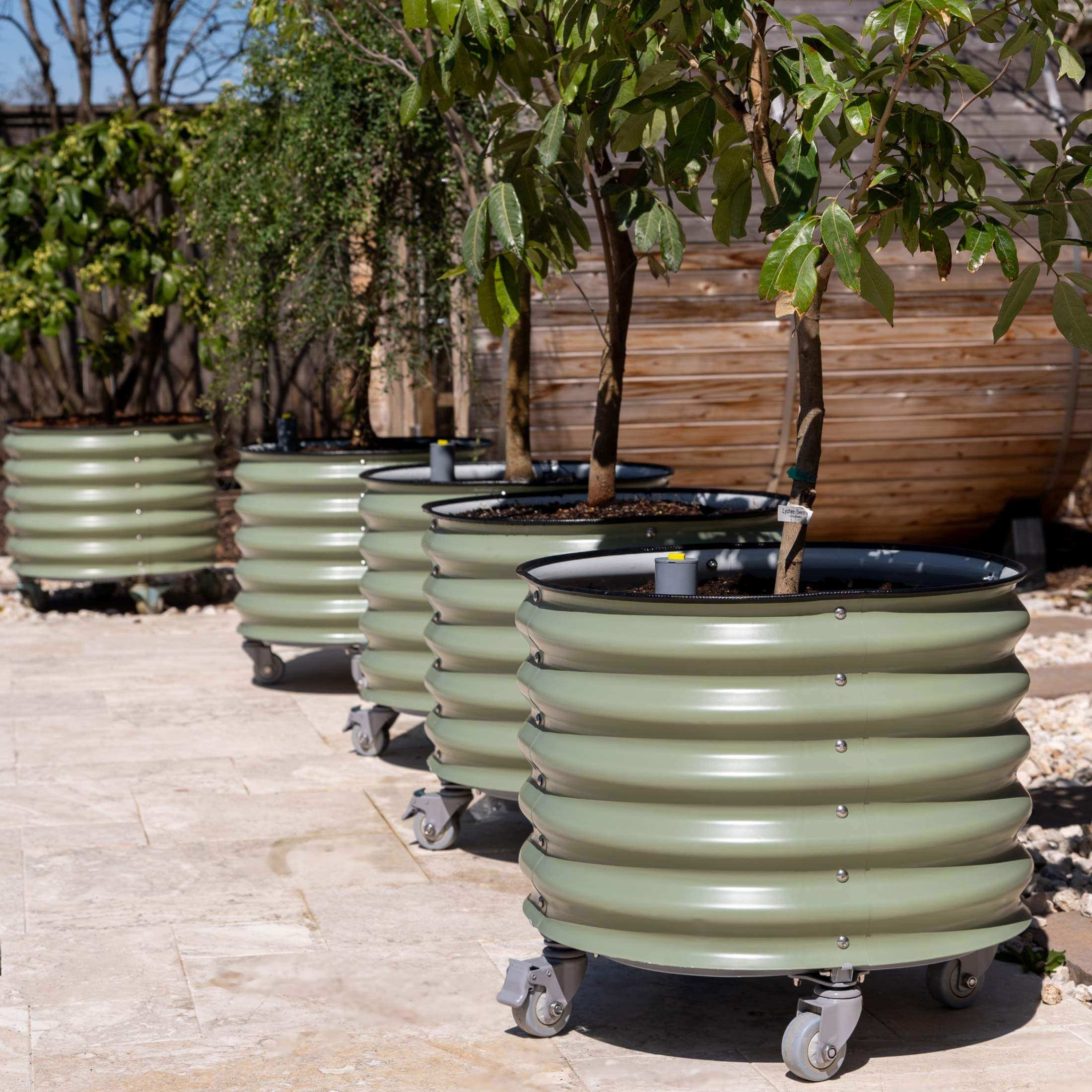 Self-Watering Rolling Citrus Tree Planter 30 Gallon - Gen 2 - Image 17