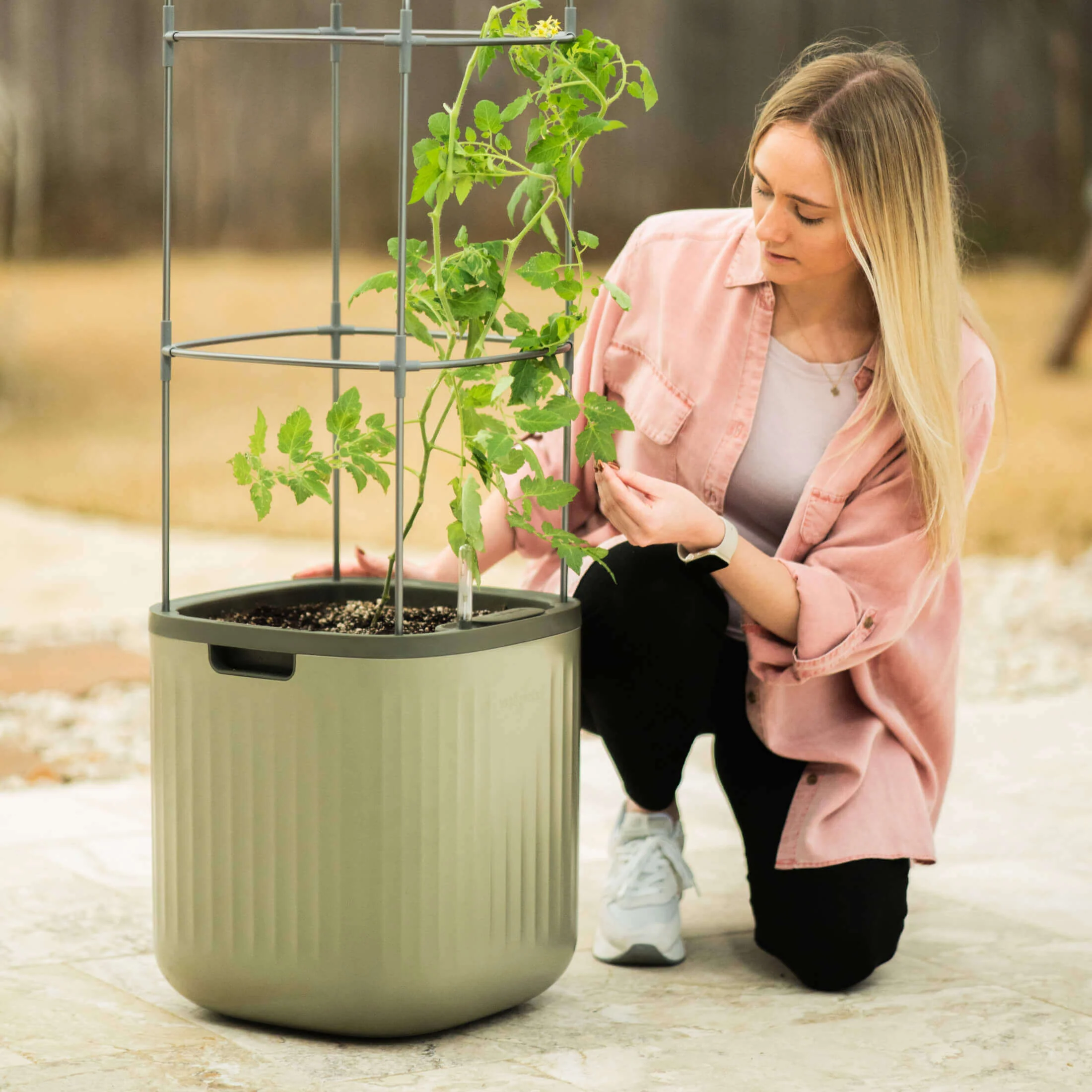 EZ Self-Watering Tomato Planter with Trellis Gen 1 - Image 16