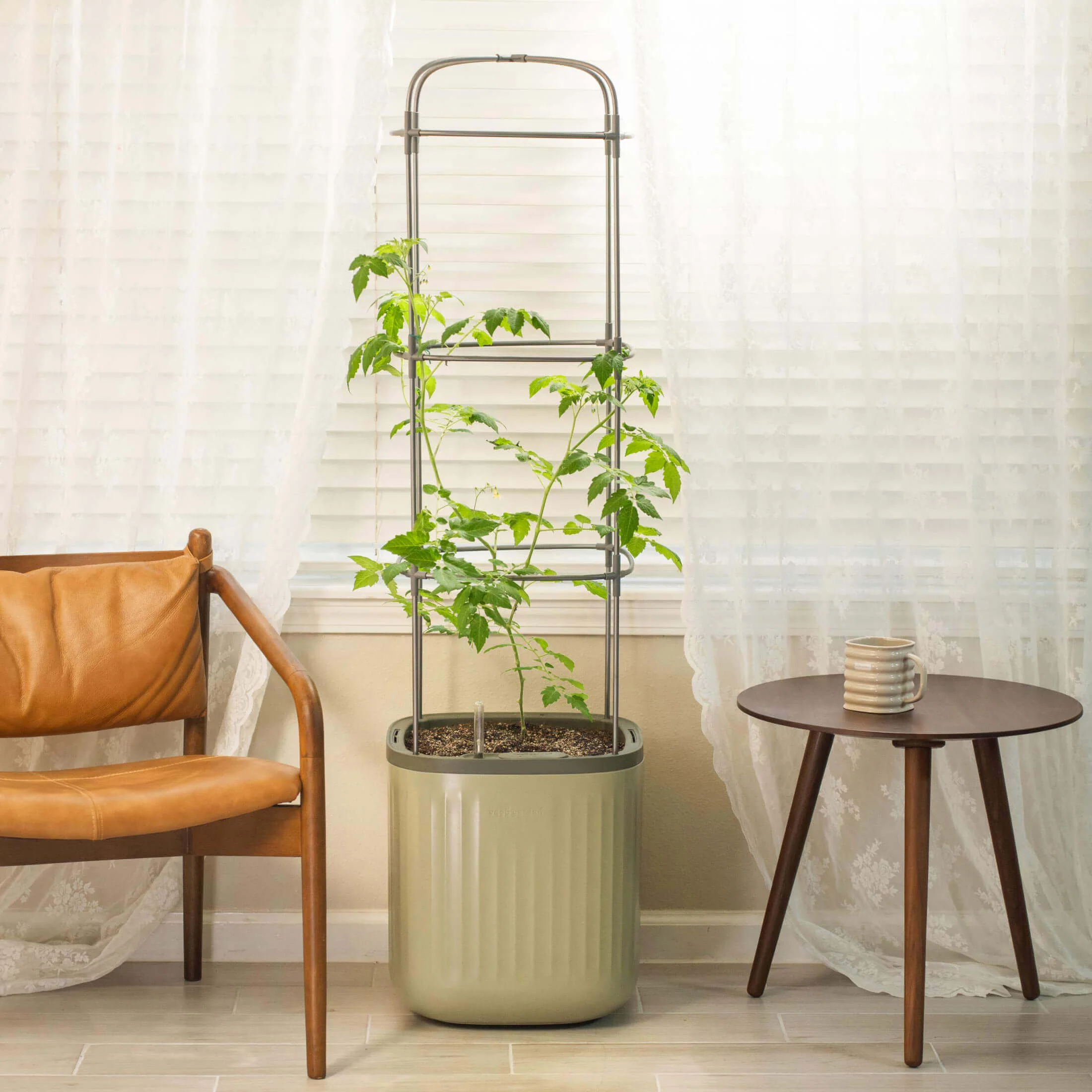 EZ Self-Watering Tomato Planter with Trellis Gen 1 - Image 18